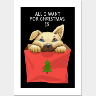 all i want for christmas is a dog Posters and Art